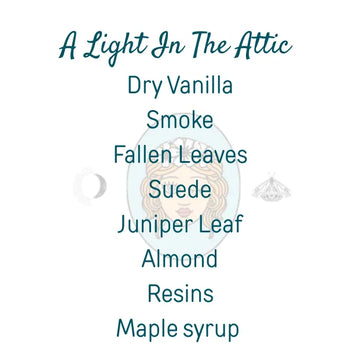 A Light In The Attic