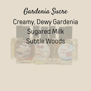 Gardenia Sucré