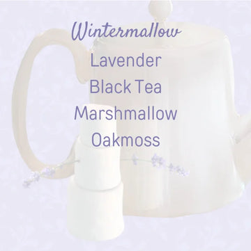 Wintermallow