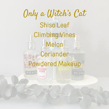Only a Witch Cat