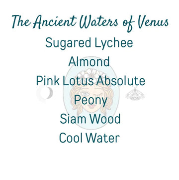 The Ancient Waters of Venus