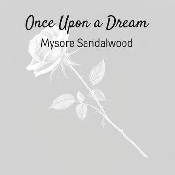 Once Upon A Dream