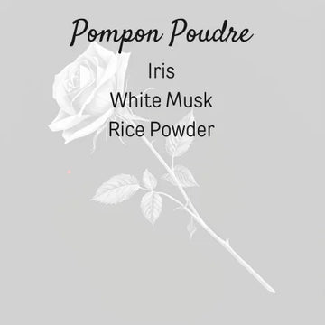 Pompon Poudre