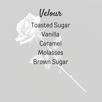 Velour