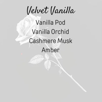Velvet Vanilla
