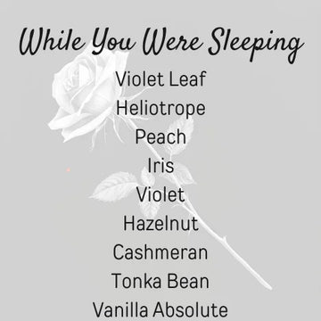 While You Were Sleeping