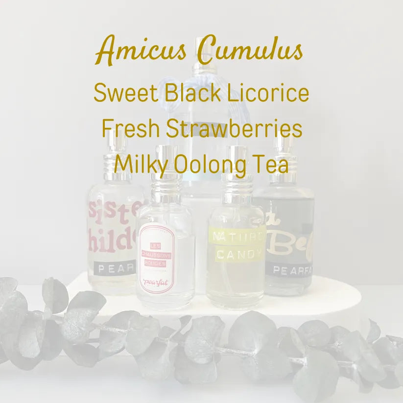 Amicus Cumulus