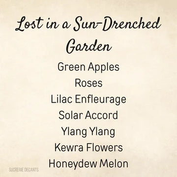 Lost in a Sun-Drenched Garden
