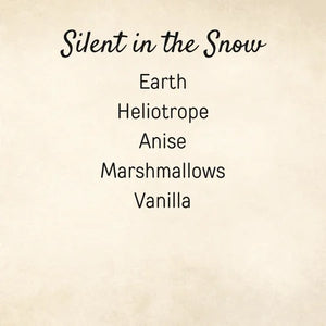 Silent in the Snow
