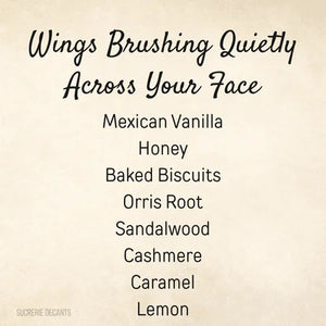 Wings Brushing Quietly Across Your Face