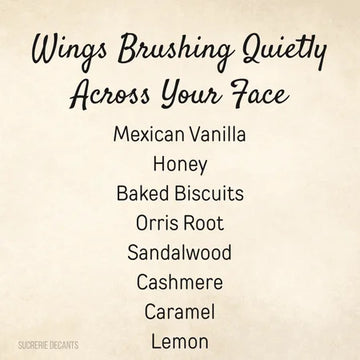 Wings Brushing Quietly Across Your Face
