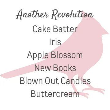 Another Revolution