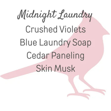 Midnight Laundry