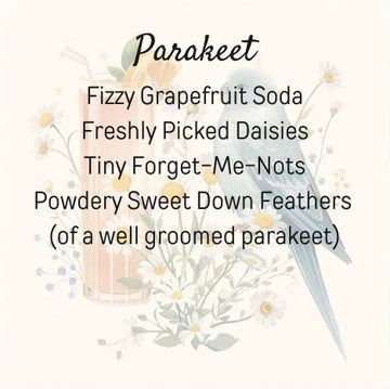Parakeet