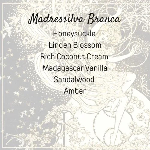 Madressilva Branca