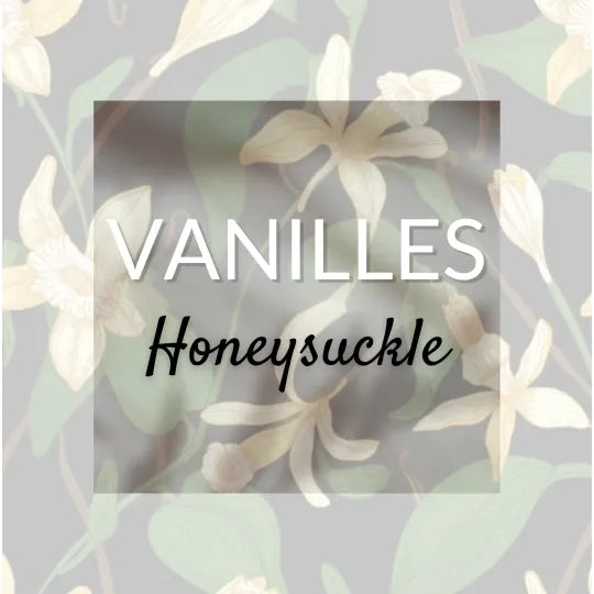 Honeysuckle Vanille