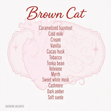 Brown Cat