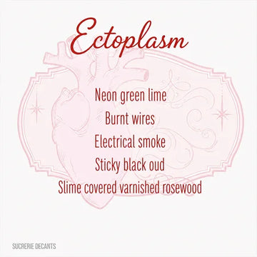 Ectoplasm