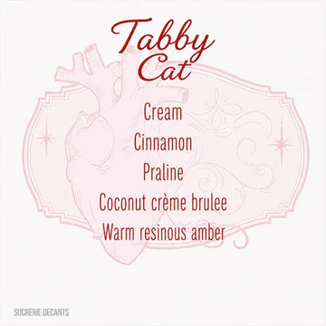 Tabby Cat