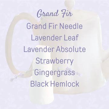 Grand Fir