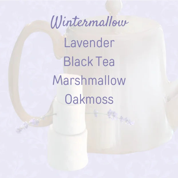 Wintermallow