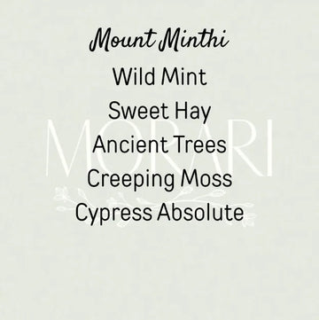 Mount Minthi