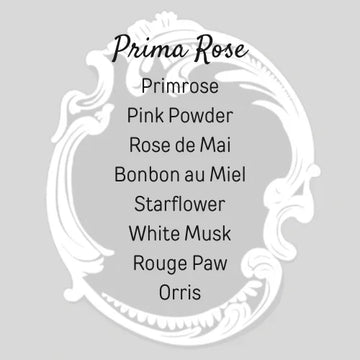 Prima Rose