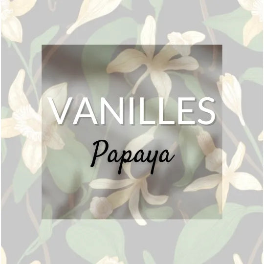 Papaya Vanille