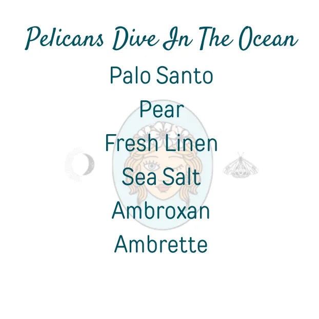 Pelicans Dive In The Ocean