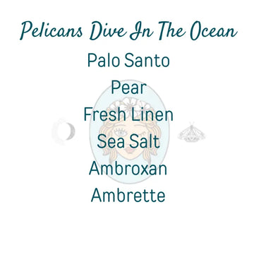 Pelicans Dive In The Ocean