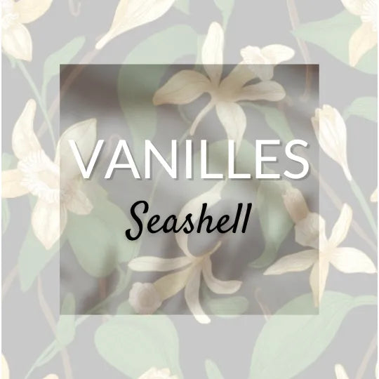 Seashell Vanille