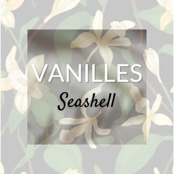 Seashell Vanille