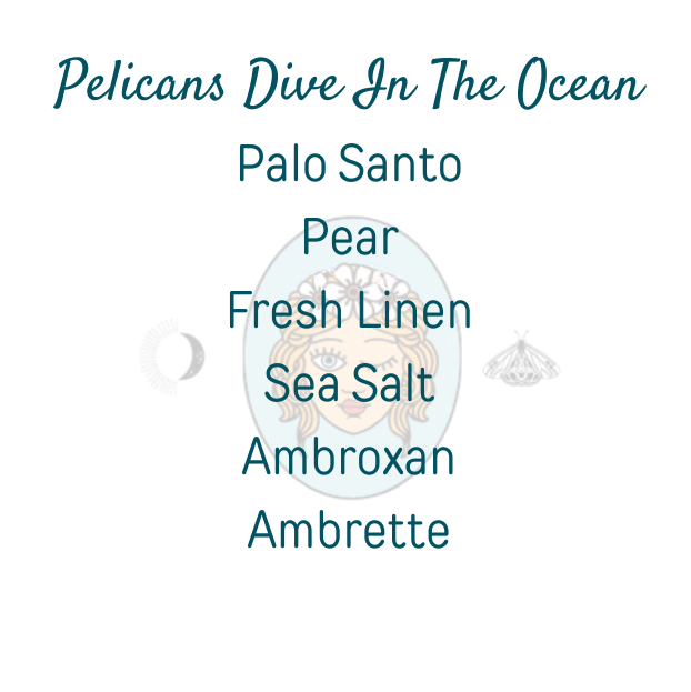 Pelicans Dive In The Ocean