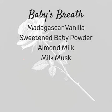 Baby's Breath