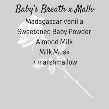 Baby's Breath x Mallo