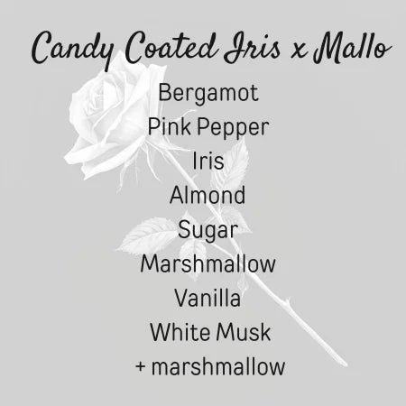 Candy Coated Iris x Mallo