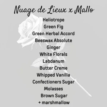 Nuage de Lieux x Mallo