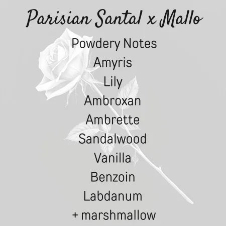 Parisian Santal x Mallo