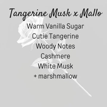 Tangerine Musk x Mallo