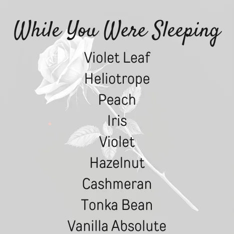 While You Were Sleeping