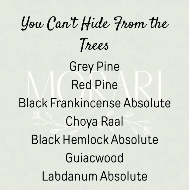 You Can't Hide From The Trees