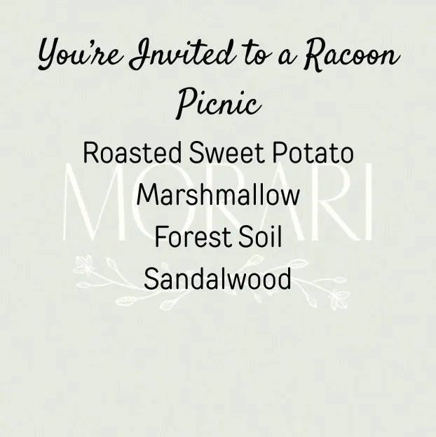 You’re Invited to a Racoon Picnic